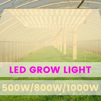 Samsung LM281B Phytolamp Taime LED Grow Light Täieliku Spektri Füto Lamp Taim Valgust 1000W Growbox Quantum Borad Backlight