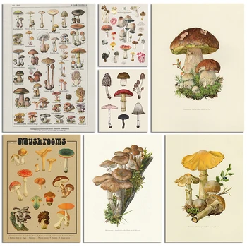 Vintage Taimed, Seened Plakati Print Antiik Seina Art Print Botaanika Pilt Teadus Plakat lõuendile maali Home Decor